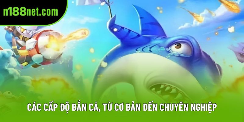 Các cấp độ bắn cá, từ cơ bản đến chuyên nghiệp