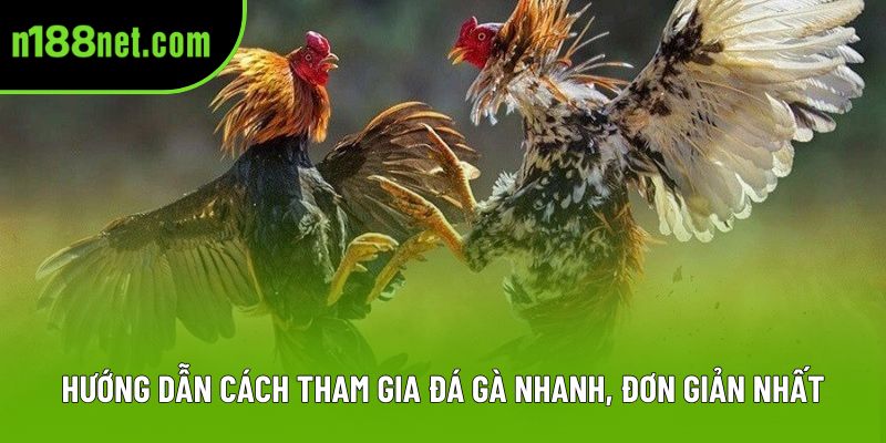 Hướng dẫn cách tham gia đá gà nhanh, đơn giản nhất